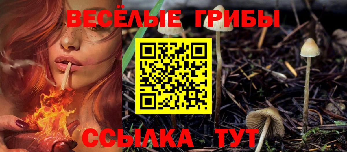 купить наркоту  Вход с VPN  Ликино-Дулёво  Псилоцибиновые грибы мухоморы 